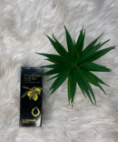 Macadamia Nut Oil